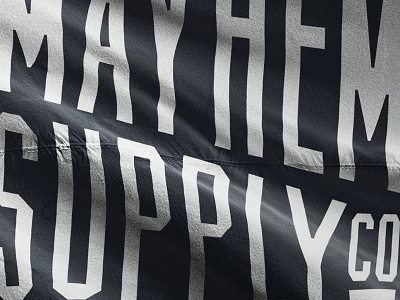 MMSPLY branding flag mockup type typography wip