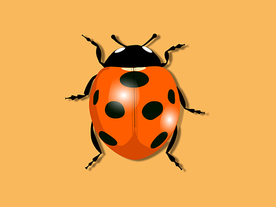 Cute ladybug cute design icon illustration ladybug logo vector