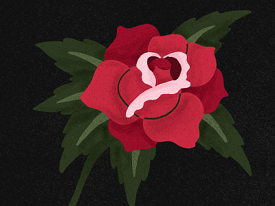 Rose Illustration