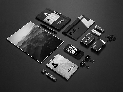 Self Rebranding baron brand branding identity logo minimal visual