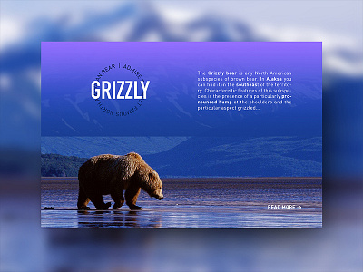 Alaska Travel alaska colors dashboard design fresh interface minimal mountain ui ux visual website