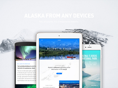 This is Alaska alaska colors design fresh gradient responsive ui uidesign uidesigner web webdesign website