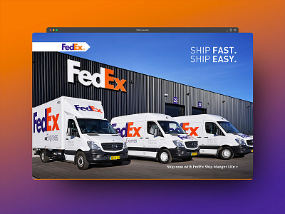 FedEx Web Concept