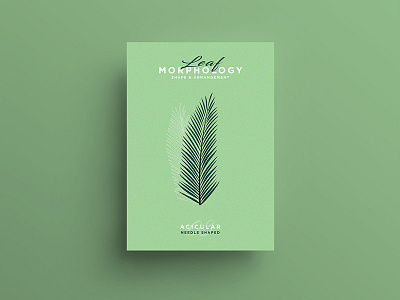 Leaf Morphology design designer freelance graphicdesign illustration illustrator leaf leaves poster