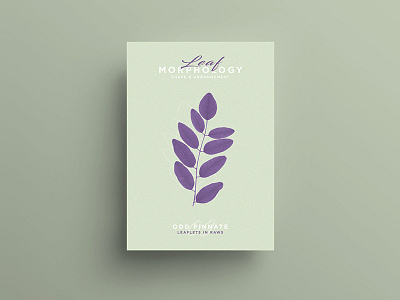 Leaf Morphology design designer freelance graphicdesign illustration illustrator leaf leaves poster