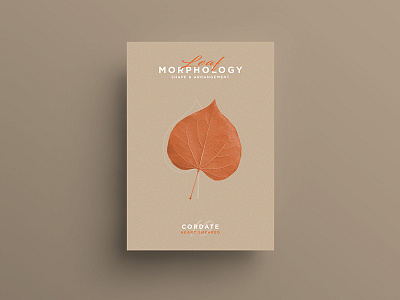 Leaf Morphology