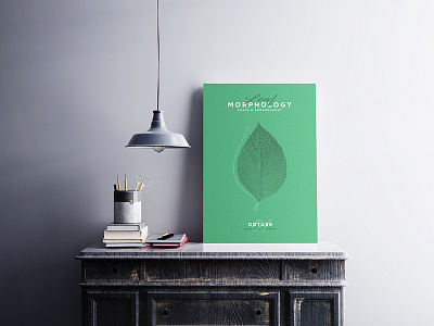 Leaf Morphology design designer freelance graphicdesign illustration illustrator leaf leaves poster