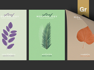 Leaf Morphology brand branding design designer freelance graphicdesign logo logodesign poster