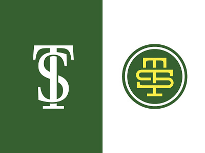 "TS" Monogram Logo