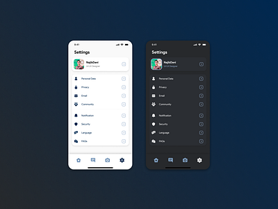 Settings Light & Dark mode ui