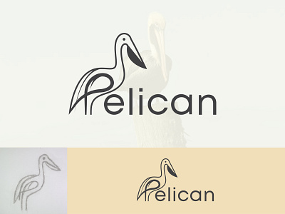 Pelican Word Mark Logo animal flat graphic design icon illustration line art logo design minimalist logo pelican bird