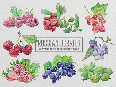 Russian berries. Watercolor collection. berries cherry illustration raspberry sale strawberry watercolor