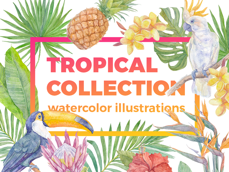 Tropical collection