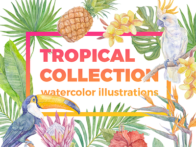 Tropical collection. Watercolor illustrations. bird cockatoo flower green illustration jungle leave pineapple protea toucan tropical watercolor