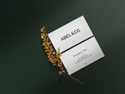 Abel & Co. - Business Card 3d brand guide branding business card card card manager graphic design logo minimalist design