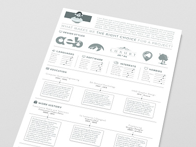 Resume Dribbble curriculum vitae cv illustrator resume