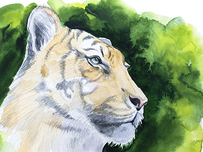 Tiger green head illustration look tiger watercolor