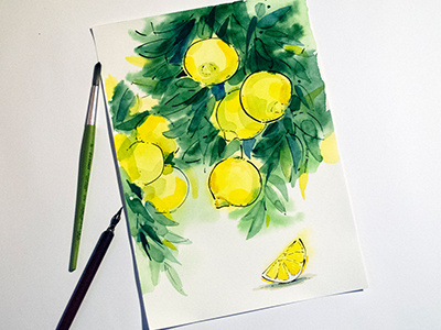 Lemons colors illustration ink lemons watercolor