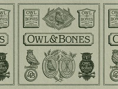 Owl Bones Branding badge bones branding design graphic design illustration logo logo design owl retro texture travis pietsch vintage woodcut