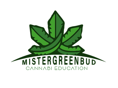 MISTERGREENBUD | Logo logo