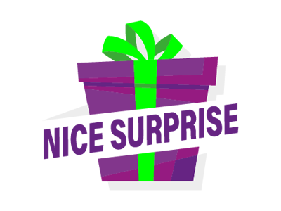 Nice Surprise | Logo logo
