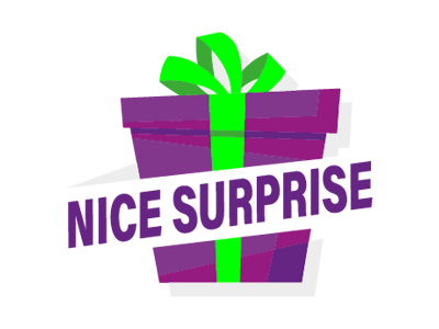 Nice Surprise | Logo