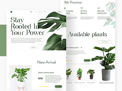 Monstera Plant Landing Page branding design graphic design typography ui ux vector