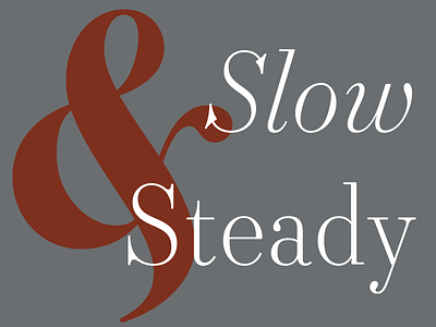 Slow and Steady didot font italic lettering serif text type type design typeface