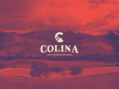 Colina - Centro de Desenvolvimento art direction artwork branding composition design grapicdesign grid logo logo design logodesign logotype vector