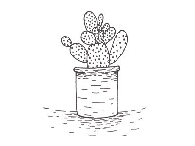 cactus black and white cactus drawing illustration line drawing pen plant simple sketch wip