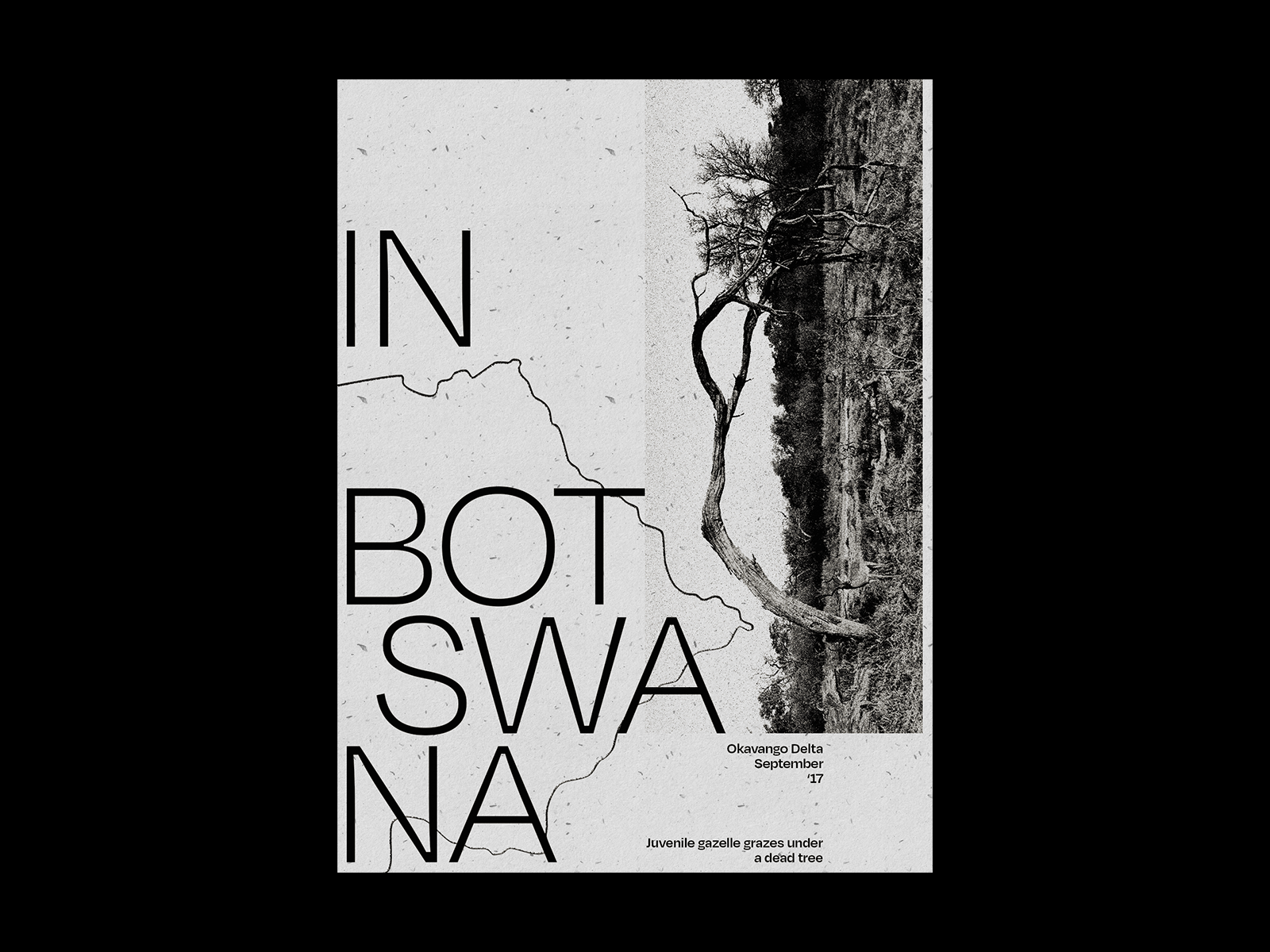 In Botswana by Denys Korolenko on Dribbble