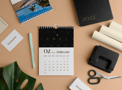 February - Lanzarote calendar branding design illustration layout typography vector