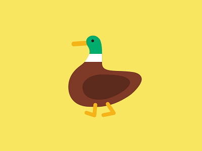 Duck