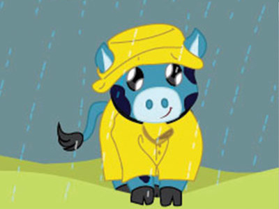 Cow & Rain