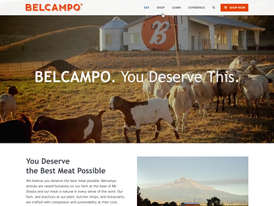 Belcampo design responsive web web design wordpress