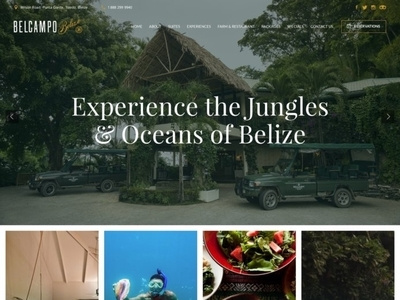 Copal Tree Lodge responsive web design website wordpress