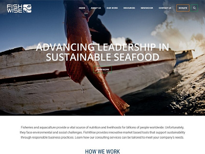 Fishwise web design wordpress