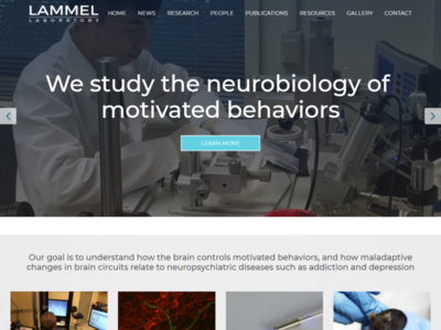 Lammel Laboratory web design wordpress