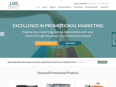 LMS Brandz web design