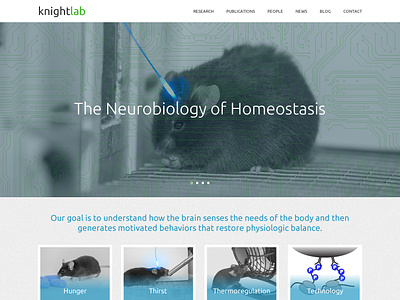Knight Lab design responsive web design wordpress