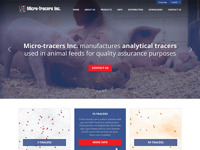 Micro-Tracers, Inc design responsive web design wordpress
