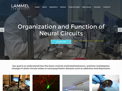 Lammel Laboratory design web design wordpress