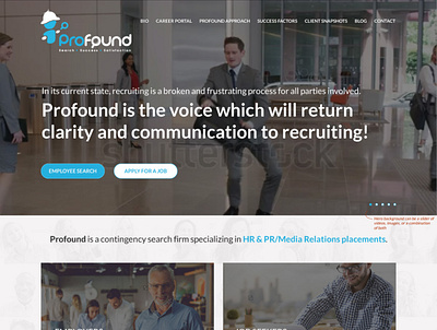 Profound Placement web design wordpress