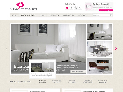 Latest project shot homepage interior pink ui webdesign wordpress