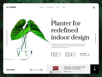 My Planter Website Header - UI Exploration clean modern plant planter plantwebsite ui uiux userinterface websiteheader websiteinterface websiteui