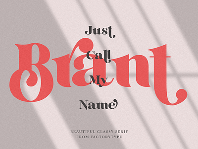 Brant bold classy design font fonts graphic design illustration minimal modern sans serif typography