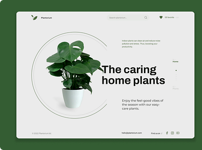 Website design for a indoor plant vendor clean friendly garden green home plant minimal modern nursery plant web design