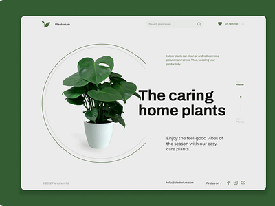 Website design for a indoor plant vendor