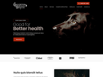 Gallatin Veterinary Hospital animals dark theme esolz health care hospital web design web page design website