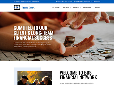 BDS Financial Network bds financial network corporate esolzwebdesign financial network illustration professional ui web design website